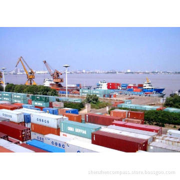 Professional Shipping From Xiamen/Fuzhou/Shenzhen/Guangzhou/Shanghai/Tianjin/Ningbo/Qingdao to Puerto Cabello/Cartagena/Colon/Manzanillo/Caucedo/Rio Haina